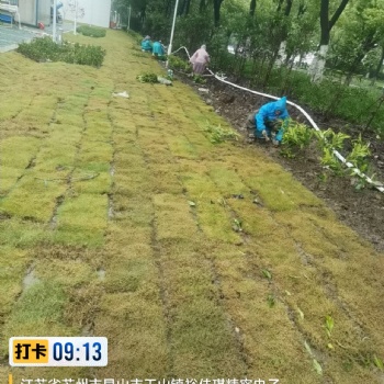 海綿備案施工驗(yàn)收 蘇州富帆億綠化建筑工程公司