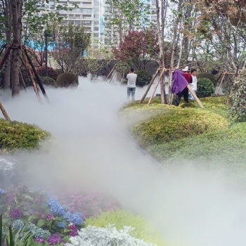 新疆霧森系統景觀噴霧設備 專業定制 智能控制
